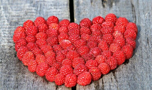 raspberry heart